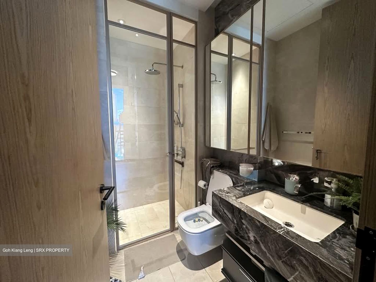 The Avenir (D9), Condominium #563740491